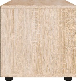 vidaXL ντουλάπι τηλεόρασης VISNES Δρυς Sonoma 100x40x38 cm
