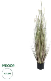 GloboStar® Artificial Garden BEIGE LAGURUS 21102 Διακοσμητικό Φυτό Μπεζ Λαγοουρά Υ140cm