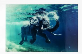 Πίνακας Γυάλινος Κολύμπι Ελέφαντα Μπλε 180x4x120εκ - Μπλε