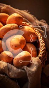 Intra Συλλεκτικό Ξύλινο Παζλ Plywood 4mm - Καλάθι με πατάτες Σε Ξύλινο Κουτί - Διαστάσεις: 10x10 cm – 25 κομμάτια