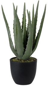 Τεχνητό Φυτό Σε Γλάστρα Aloe 20064 38cm Green Globostar Polyethylene
