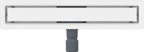 vidaXL 2 σε 1 εκροή ντους Ασημί 60 cm Ανοξείδωτο Ατσάλι 304