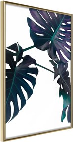 Αφίσα - Evergreen Monstera - 30x45 - Χρυσό - Χωρίς πασπαρτού