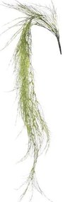 Τεχνητή Κρεμαστή Ρουσέλια Καφέ 110 εκ. 4451-7 Supergreens-4451-7-Καφέ 4451-7