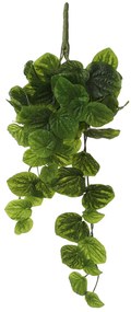 Τεχνητό Φυτό Κρεμαστό 58εκ. Edelman Peperomia Green 1074937