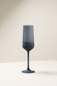 Champagne Glass Set (2 Pieces) TYRAKLE576 Fume