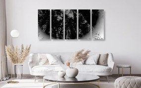 Εικόνα 5 τμημάτων ασπρόμαυρο τροπικό δάσος - 200x100