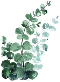 Αφίσα Blursbyai - Watercolour eucalyptus