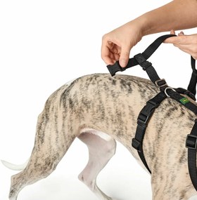 Λουρί Σκύλου Hunter Μαύρο L M/L