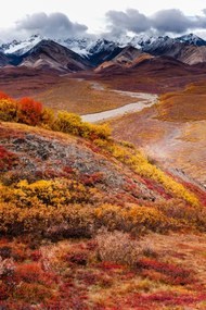 Φωτογραφία One Autumn Morning, Kal K / 500px