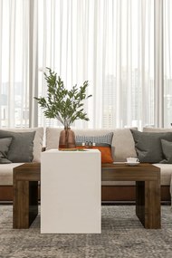 Stewehome Σετ 2 μοντέρνα τραπεζάκια σαλονιού από σαντουλάμ 50x90 cm