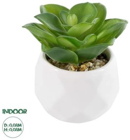 Διακοσμητικό Φυτό Παχύφυτο Εχεβέρια Artificial Garden 21003 Globostar 21003