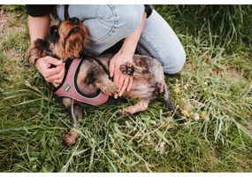 Λουρί Σκύλου Hunter Comfort Ροζ XS 35-37 cm