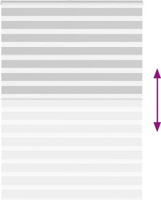 vidaXL Ζέβρα τυφλή Ανοιχτό Γκρι Πλάτος υφάσματος 150,9 εκ. Πολυεστέρας