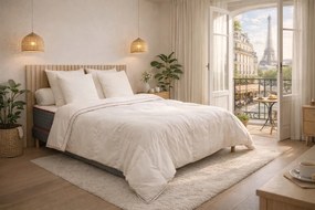 Πάπλωμα μέτριας θερμότητας, Frenchy Chic