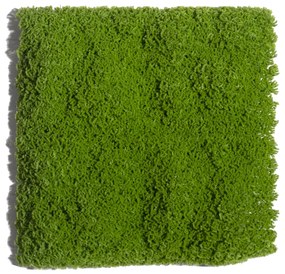 Supergreens Τεχνητή Φυλλωσιά Mossy 50Χ50 εκ. - 3231-7