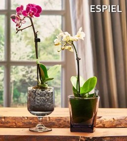 DIS. TOWER WATER 300CC TEMP. H: 12.3CM P/960 GB6.OB48