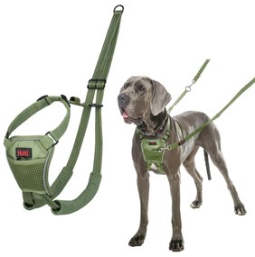 Λουρί Σκύλου Company of Animals FOREST Πράσινο L