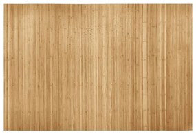 vidaXL Διαχωριστικό Δωματίου σε Φυσικό Χρώμα 250 x 165 εκ. από Μπαμπού