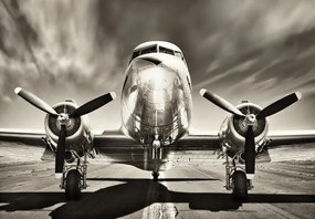XXL Αφίσα Aeroplane monochromatic, (120 x 80 cm)