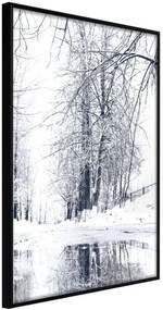 Αφίσα - Snowy Park - 20x30 - Μαύρο - Χωρίς πασπαρτού