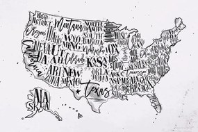 Εικόνα σε φελλό εκπαιδευτικό χάρτη των ΗΠΑ με επιμέρους πολιτείες σε αντίστροφη μορφή - 120x80  arrow