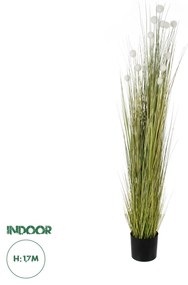 GloboStar® Artificial Garden ERIOPHORUM ANGUSTIFOLIUM COTTON GRASS 20074 Τεχνητό Διακοσμητικό Φυτό Γρασίδι του Βαμβακιού Υ170cm