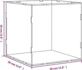 vidaXL Κουτί Βιτρίνας Διαφανές Ακρυλικό 30x30x30 εκ.