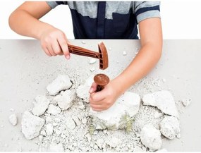 Παιχνίδι Ανασκαφής Clementoni T-Rex fosforescente