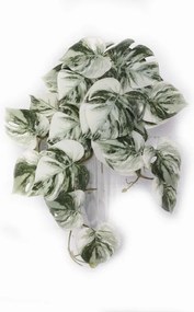 Supergreens Τεχνητή Κρεμαστή Μονστέρα Albo Variegata Πράσινη 45 εκ.