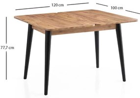 Τραπέζι Dolunay Megapap επεκτεινόμενο χρώμα atlantic pine - μαύρο 100x60(120x100)x79,5εκ.