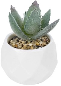 Τεχνητό Φυτό Σε Κασπώ Aloe 20999 Φ7x9cm Green-White GloboStar Πηλός,Πολυαιθυλένιο