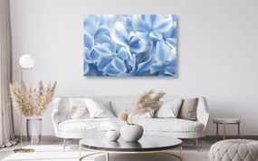 Εικόνα λουλουδιών ορτανσίας σε μπλε λευκή απόχρωση - 90x60