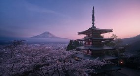 Φωτογραφία Mt Fuji Sakura, Javier de la
