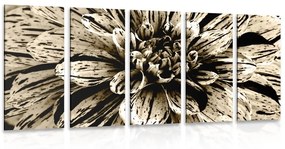 Εικόνα 5 μερών εξωτικά ντάλια σε σέπια - 100x50
