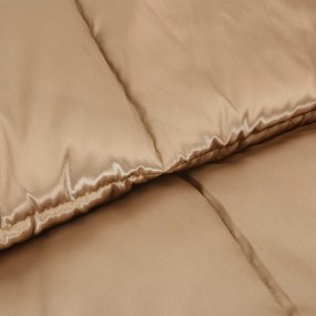 vidaXL Κουβέρτα ολόκληρου του χρόνου Χρυσό 220 x 260 cm