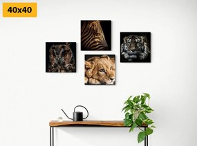 Σετ εικόνων με άγρια ​​ζώα - 4x 60x60