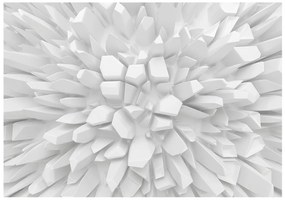 Φωτοταπετσαρία - White dahlia 100x70