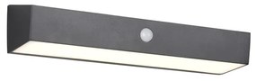 Φωτιστικό Επίτοιχο Reality Lighting -RL SILVES R23306102 Μαύρο Ματ (Black Mat) 4000K