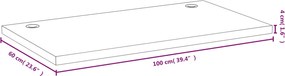 vidaXL Επιφάνεια Γραφείου 100 x 60 x 4 εκ. από Μπαμπού