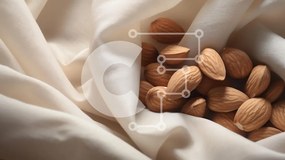 Intra Συλλεκτικό Ξύλινο Παζλ Plywood  4mm - Αμύγδαλα σε Κρεμ ύφασμα Σε Ξύλινο Κουτί - Διαστάσεις: 10x10 cm – 25 κομμάτια
