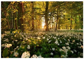 Φωτοταπετσαρία - Forest flora 250x175