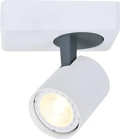 Σποτ Μονόφωτο Aca Disco RA311S13WG White