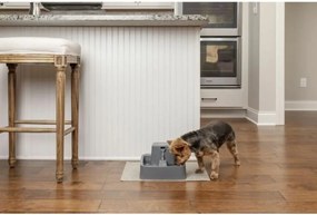 Σιντριβάνι Κατοικίδιων Ζώων PetSafe 1,8 L