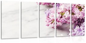 Εικόνα 5 μερών ενός όμορφου λουλουδιού σε μαρμάρινο φόντο