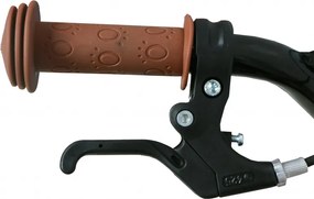 Sports 12 Inch 20 cm Boys Coaster Brake Blue