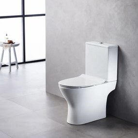 Τema Tonic 3000 Rimless Κατωστόμια 60cm – Λεκάνη με Καζανάκι