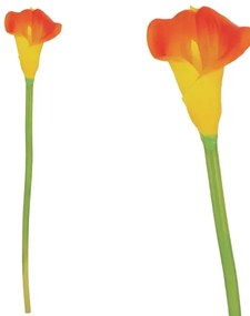 MarHome ΚΛΑΔΙ ΚΑΛΛΑΣ ΠΟΡΤΟΚΑΛΙ REAL TOUCH 12x60cm. 20/432KIB  00-18065-1