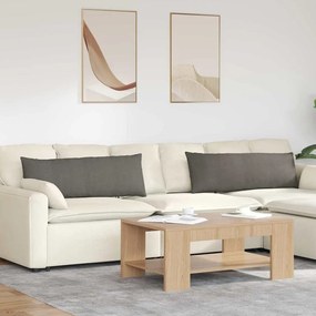 vidaXL Μαξιλάρι Καναπέ 2 pcs Ανοιχτό γκρι 120 x 40 cm