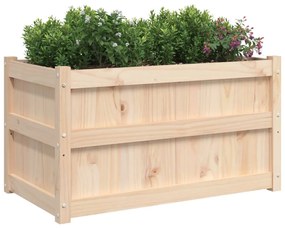 vidaXL Ζαρντινιέρες 2 τεμ. από Μασίφ Ξύλο Πεύκου